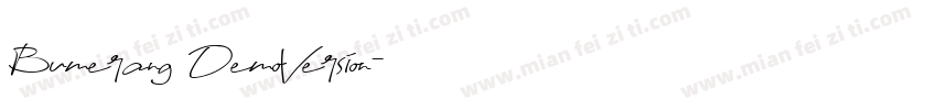 Bumerang DemoVersion字体转换